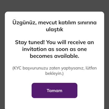Pi Network Pi Kyc Sorunu