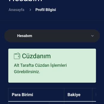 Milaresx Bu Sitede Param Rehin!