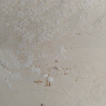 Şok Market Piyale Unda Kurtçuklar Var