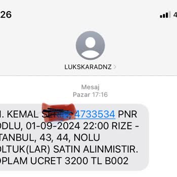 THY Türk Havayollarının Mağduriyeti!