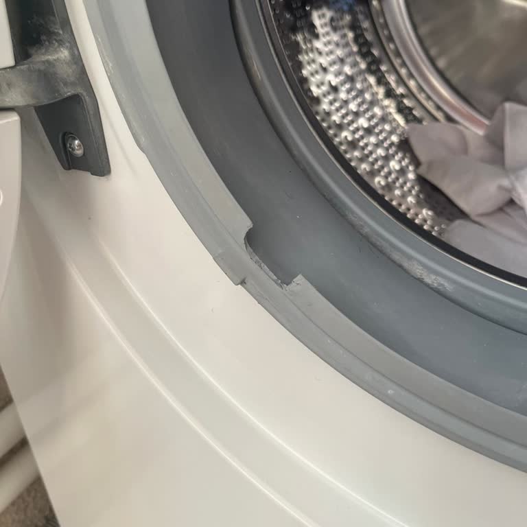 Bosch Körük Lastiği Garantiye Girmiyormuş