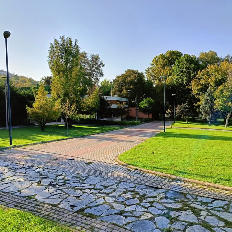 Müsiad Kültürpark Bursa Şubesi Köpekleri İnsanlara Saldırıyor