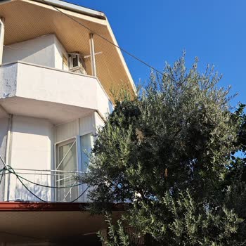 Türk Telekom Personelinin Saygısız Davranışı Ve Kablo Sorunu