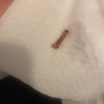 A101 Kurabiyeden Odun Parçası Çıktı