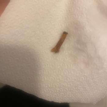 A101 Kurabiyeden Odun Parçası Çıktı