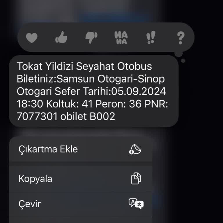 Tokat Yıldızı Samsun-Sinop Yolculuğunda Yaşadığım Zorluklar Ve Mağduriyet