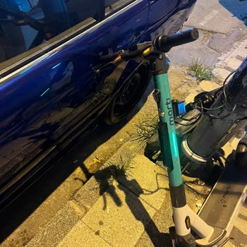 Martı Scooter Aracıma Zarar Verdi