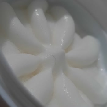 Atatürk Orman Çiftliği Dondurmadan Kıl Çıktı