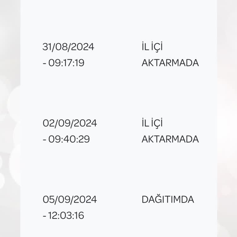 PTT Kargo Bugüne Kadar Gelen Hiçbir Kargomu Teslim Etmedi