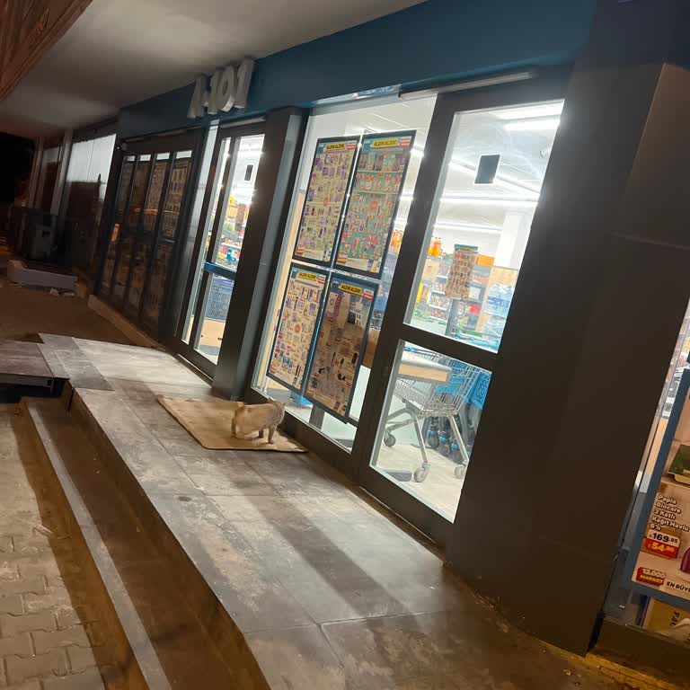 A101 Mağaza Akşam Erken Saatte Kapatılıyor