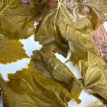 Mavi Bostan 'dan Aldığım Salamura Yapraklar Ve İade Sorunu