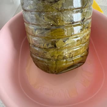 Mavi Bostan 'dan Aldığım Salamura Yapraklar Ve İade Sorunu