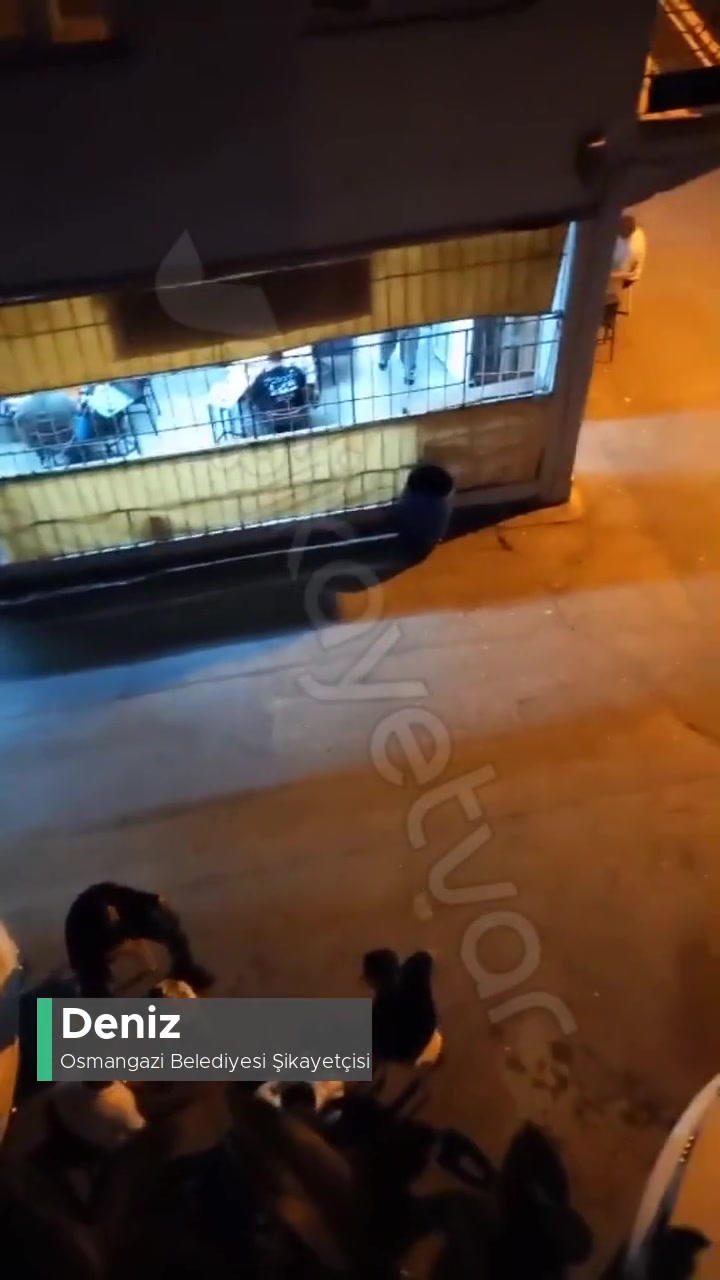 Osmangazi Belediyesi Rahatsız Edici Durum! videonun kapak resmi