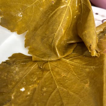 Mavi Bostan Şikayet Var Paramı Geri Ver