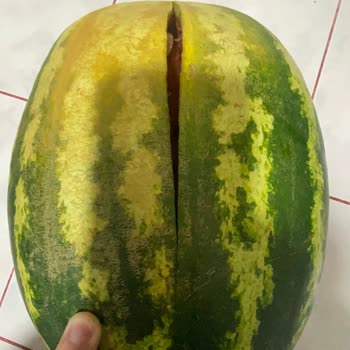 Migros Hemen Siparişimde Çürük Karpuz Ve Kırık Maden Suyu Şişesi