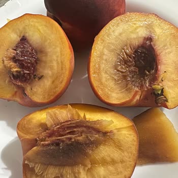 BİM'den Dışı Güzel İçi Bozuk Şeftali