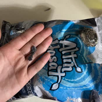 Gold Harvest Altın Hasat Çekirdek Tüy Çıktı