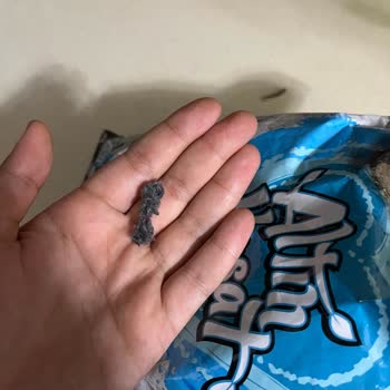 Gold Harvest Altın Hasat Çekirdek Tüy Çıktı