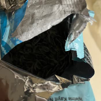 Gold Harvest Altın Hasat Çekirdek Tüy Çıktı