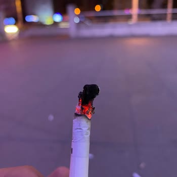 Philip Morris Türkiye Şikayet Kalitesiz Ürün