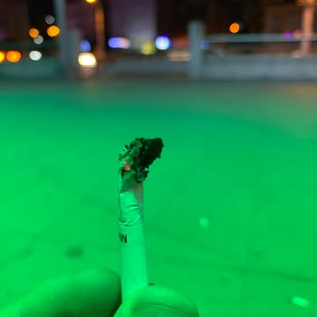 Philip Morris Türkiye Şikayet Kalitesiz Ürün