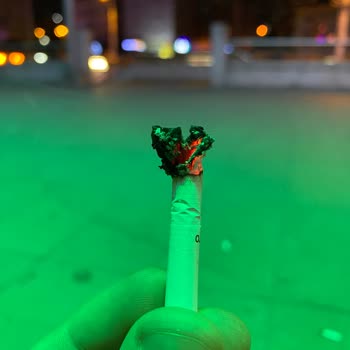 Philip Morris Türkiye Şikayet Kalitesiz Ürün