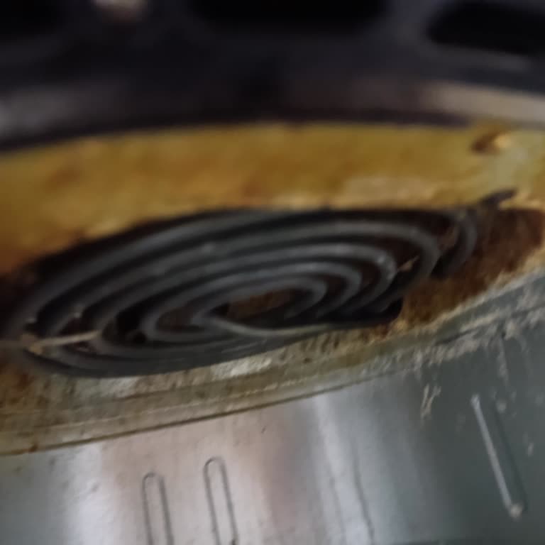 PHILIPS Ev Aletleri Pas Sorunu Çözmek