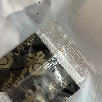 Zurna Dürüm Zurna Durum Demokrasi