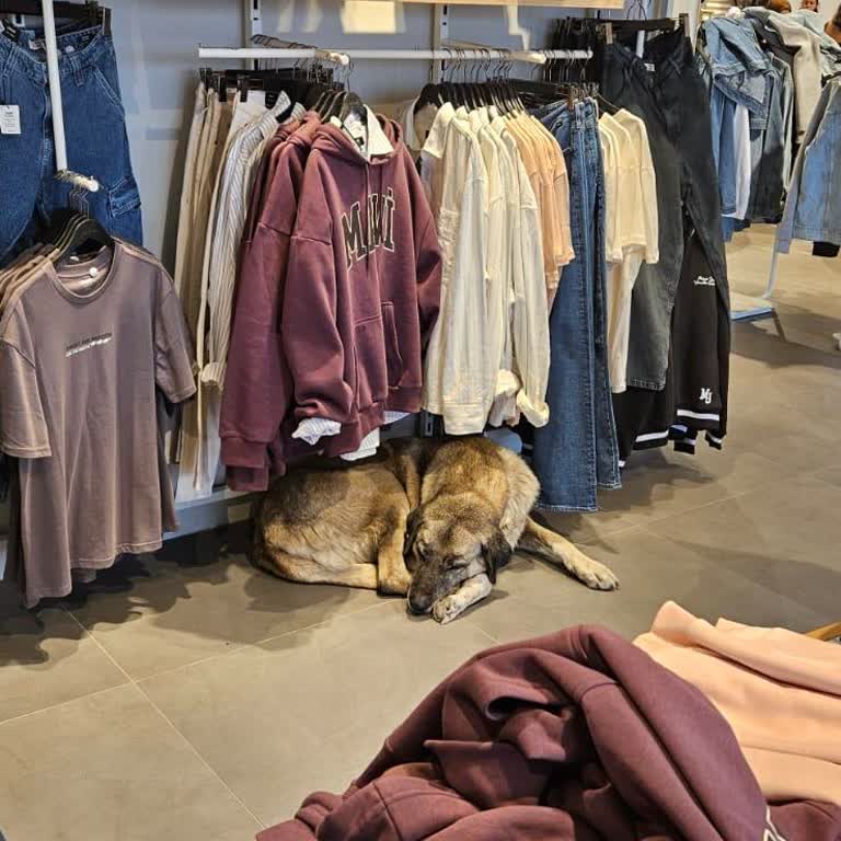 Mavi İnsan Sağlığı Ve Güvenliği.