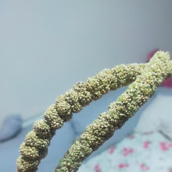 Trendyol Yorum Yasağı İzin Verilmedi