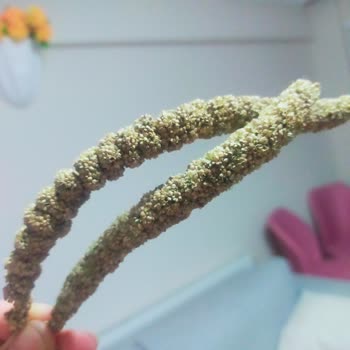 Trendyol Yorum Yasağı İzin Verilmedi