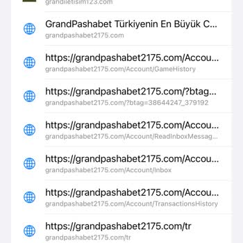 GrandPashaBet Papara Hesabımdan Çekilen Para