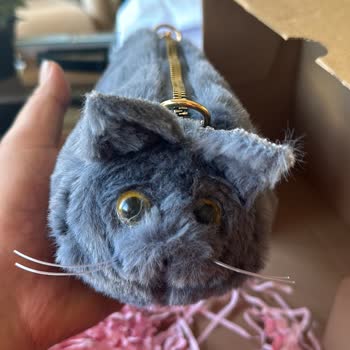 Pati Kitty Görselden Farklı Ürün Gönderimi!