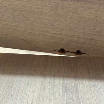 Çilek Mobilya Ürünlerinde Garanti Sorunu Ve Kalite Problemi