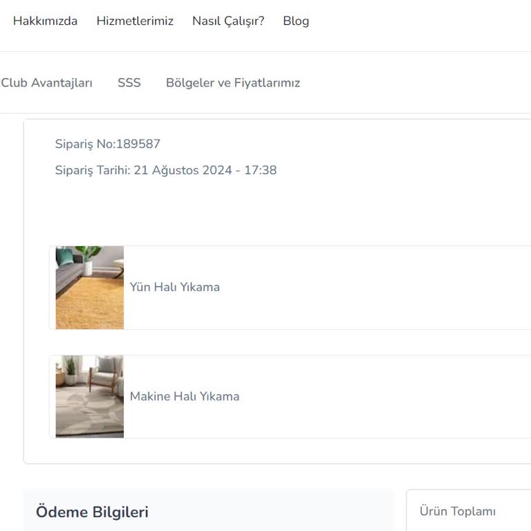 Networkdry Halı Yıkama Siparişim Neden Hala Alınmadı?