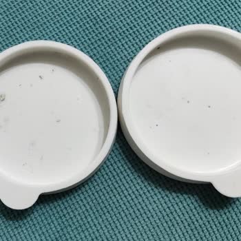 Lav Kapak Koku Ve Küf Sorunu