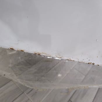 Depremzede Aileye Teşhir Ürün Şoku: Arçelik'ten Mağduriyet