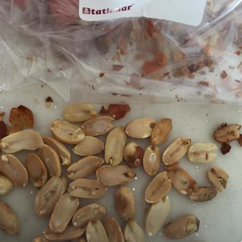 Tatlımar Kurtlu Ürünleri Var