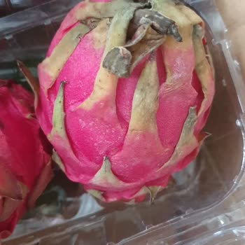 Shopier Bozulmuş Ürün Ve Para İadesi Kabul Edilmiyor