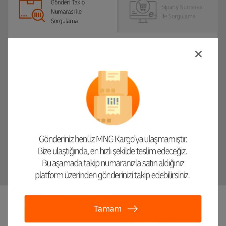 MNG Kargo Temu Alışverişimi Gümrükten Teslim Almıyor