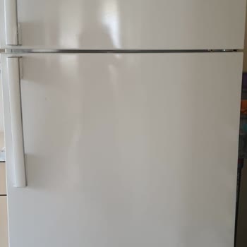 Samsung Buzdolabında Yaşanan Büyük Hayal Kırıklığı