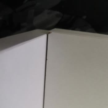 Dewoody Kargoda Bekletilen Ve Kusurlu Ürün Hayal Kırıklığı Yarattı