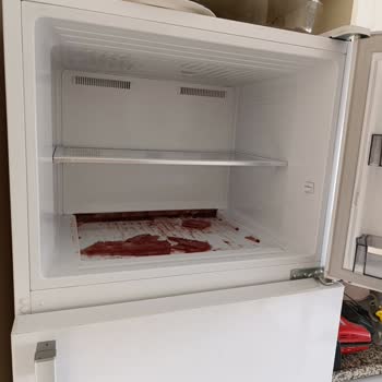 Arçelik Buzdolabı Sorunu: 16 Kilo Et Ziyan Oldu!