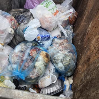 Arçelik Buzdolabı Sorunu: 16 Kilo Et Ziyan Oldu!