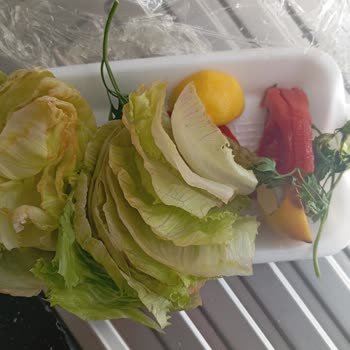 Adıyörem Çiğ Köfte Adı Yörem Çiğköfte Kusurlu Ürün