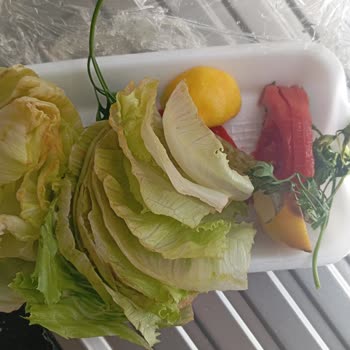 Adıyörem Çiğ Köfte Adı Yörem Çiğköfte Kusurlu Ürün