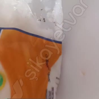 Irmak Toz Şekerde Çıkan Böcekler