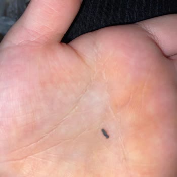 Zen Drinks İçinden Bir Şey Çıktı!