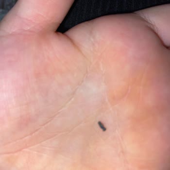 Zen Drinks İçinden Bir Şey Çıktı!