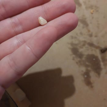 Domino's Pizza Domino Pizza İçinden Sert Cisim Çıkması